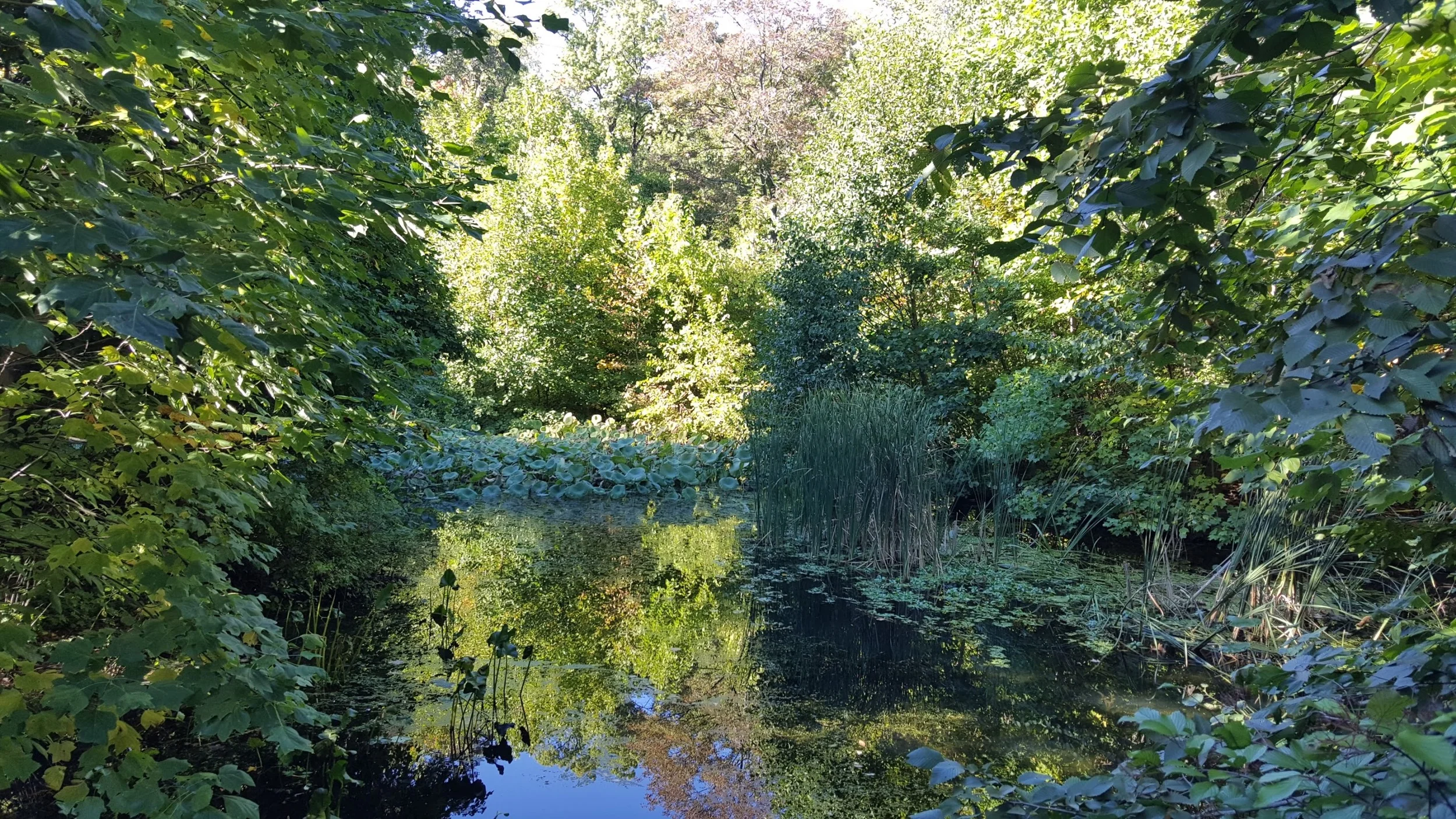 Prospect Park in Brooklyn. You can forget you are in the city.