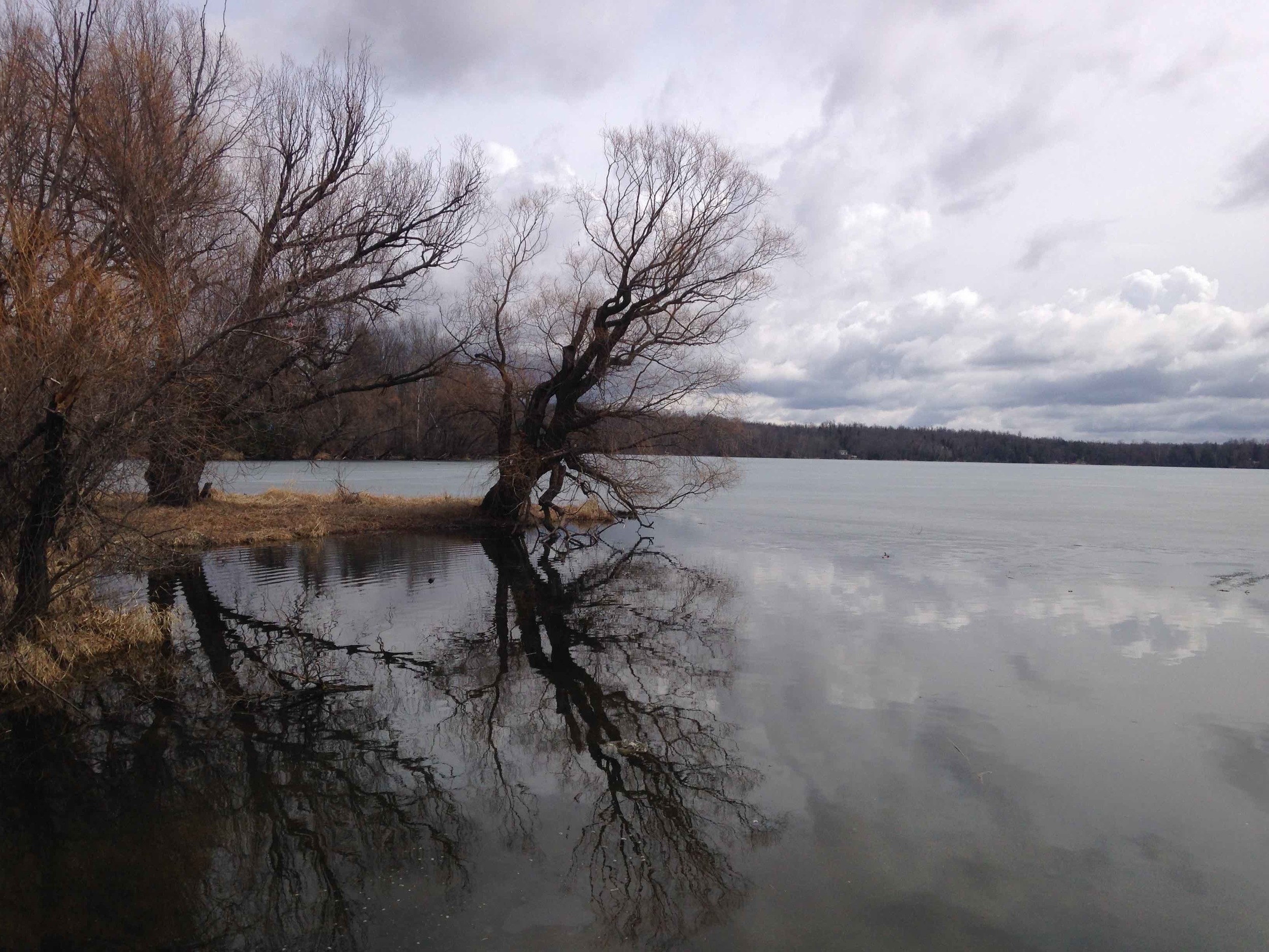 Trout Lake