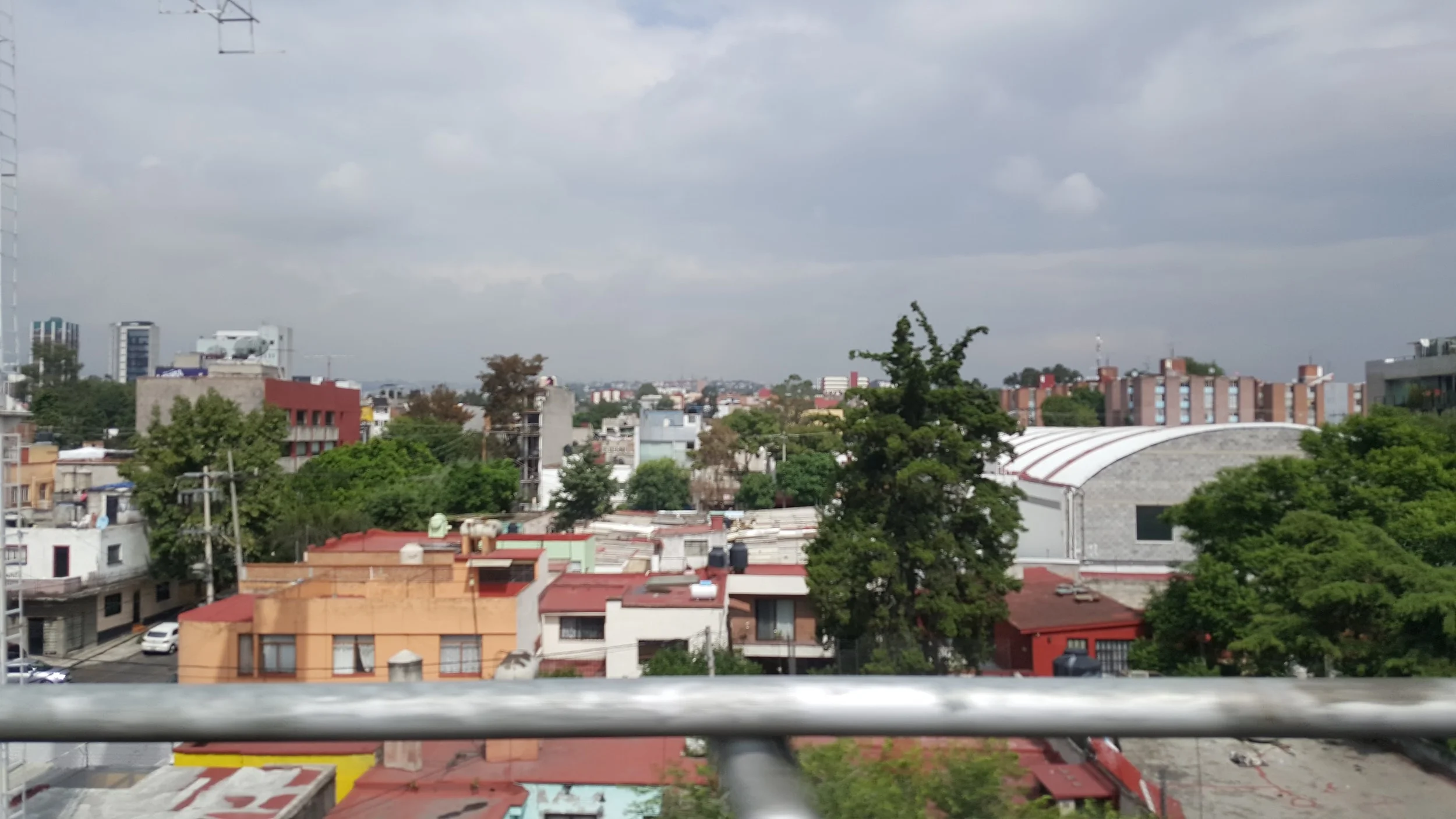 Organically Grown Cities