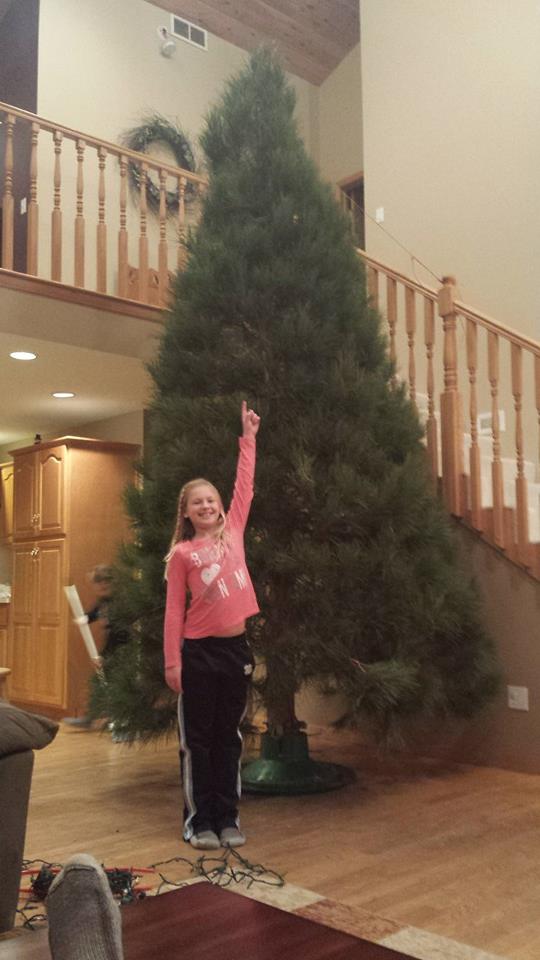 We always had the largest tree, as I planned it.
