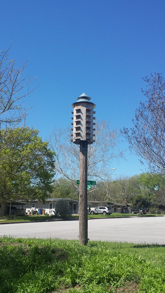 A multi-story bird house