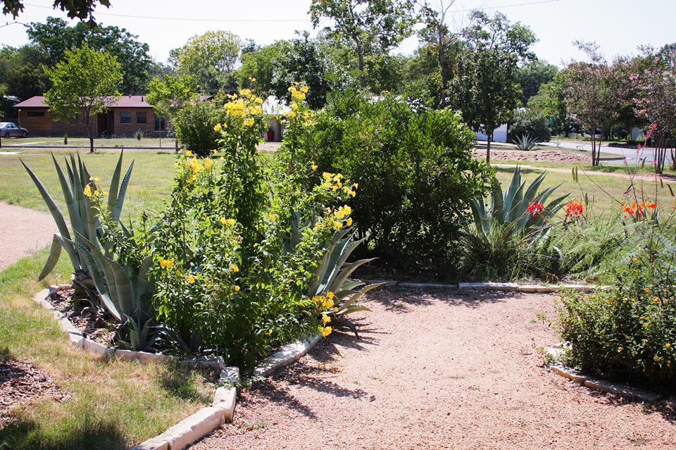 A new garden
