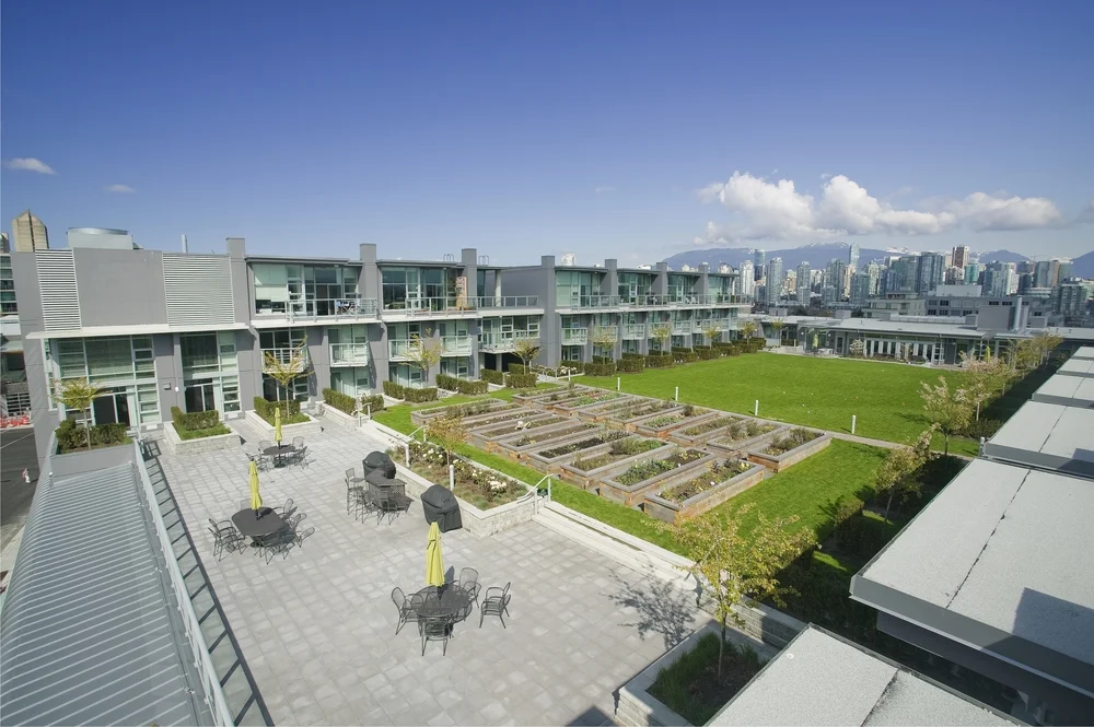 Thinking Outside the Big Box