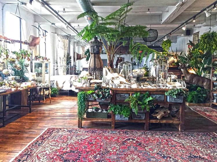 The interior of Seed to Stem, one of the local businesses housed inside Crompton Place