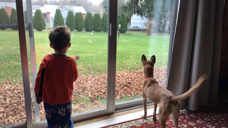 Eddie and the Erfurt's dog, Suki, look forward to going outside.