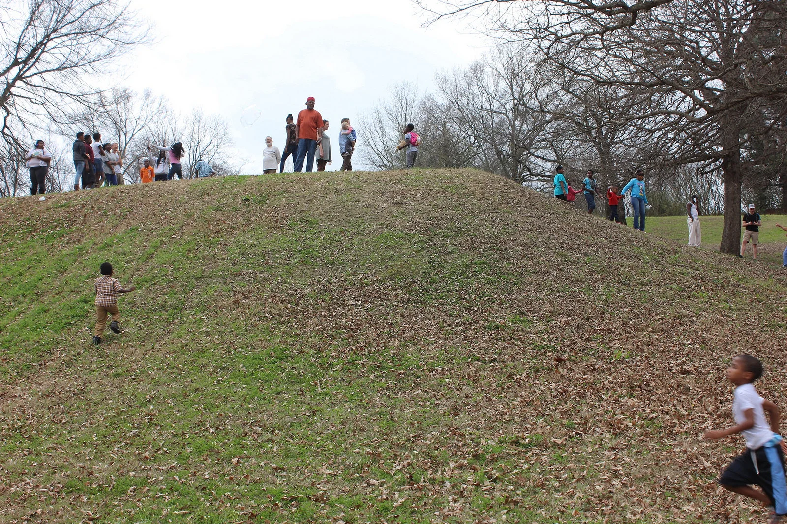 Top 5 Stories This Week (Feb. 20-24, 2017)