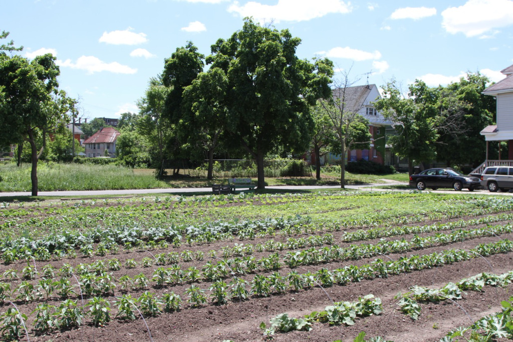 An urban garden in Detroit (Photo by Johnny Sanphillippo