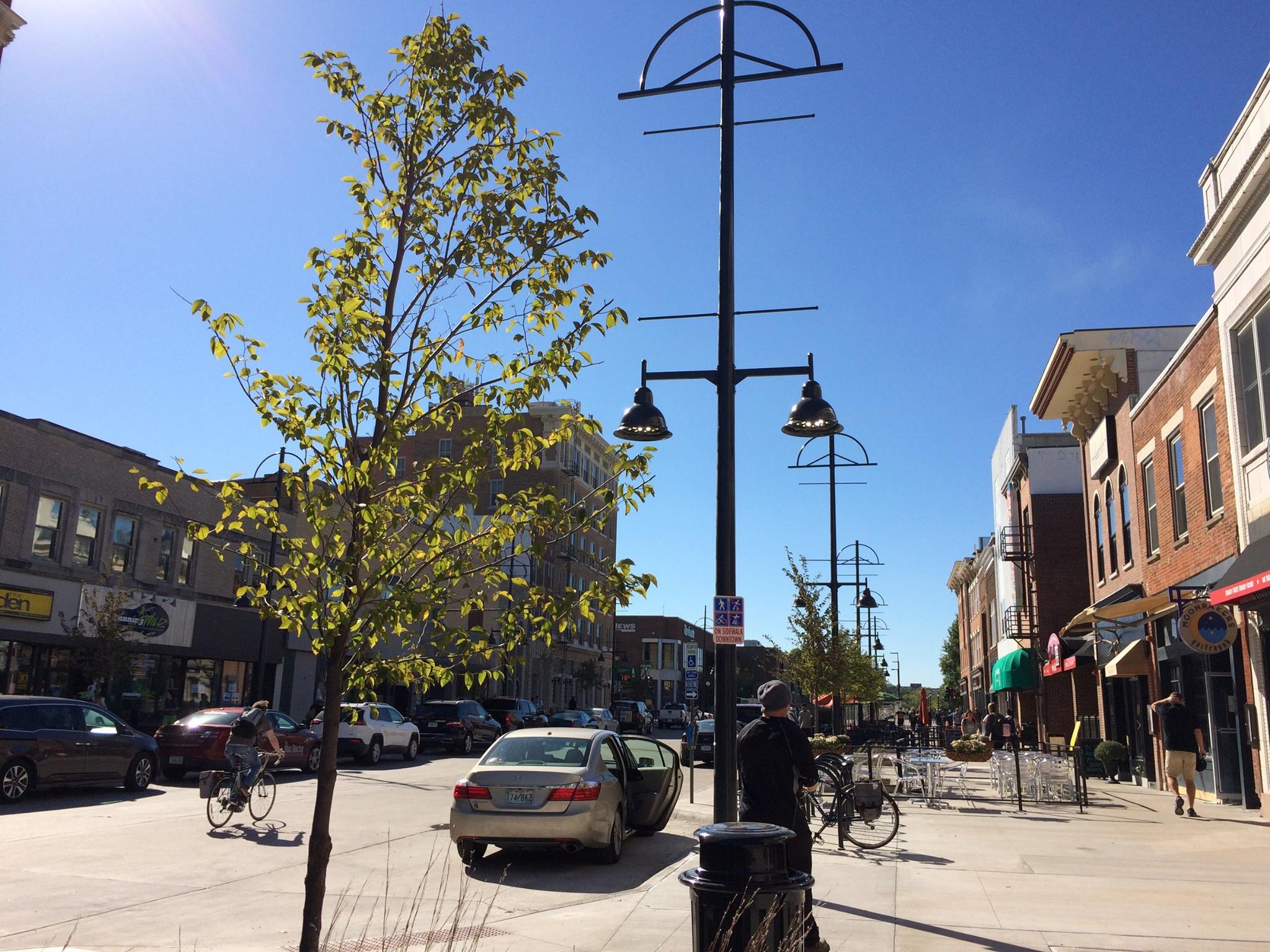 Baby trees in Iowa City's downtown get their start (Photo from Iowa City Facebook page )