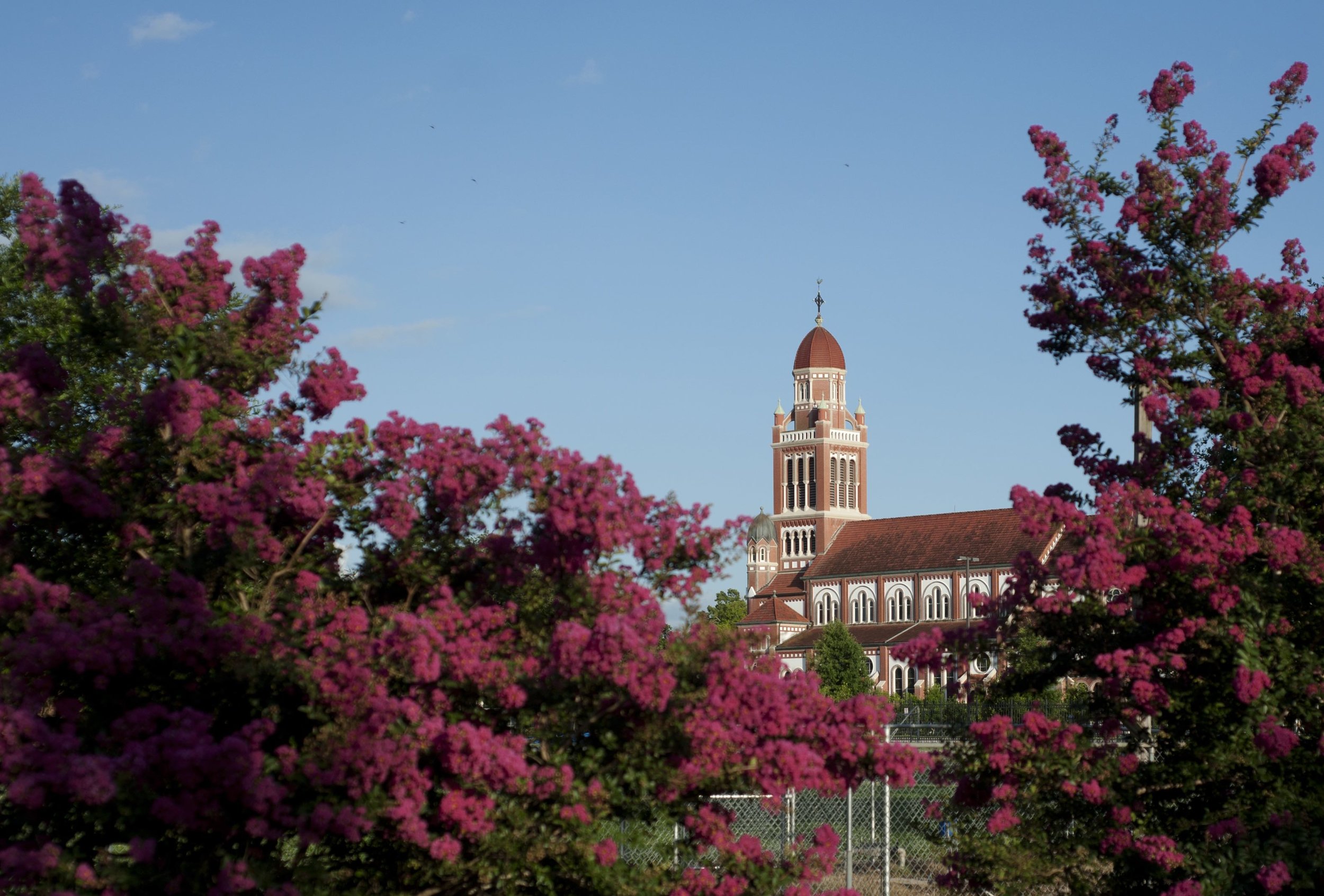 Photo by Denny Culbert, Provided by Downtown Lafayette Unlimited.