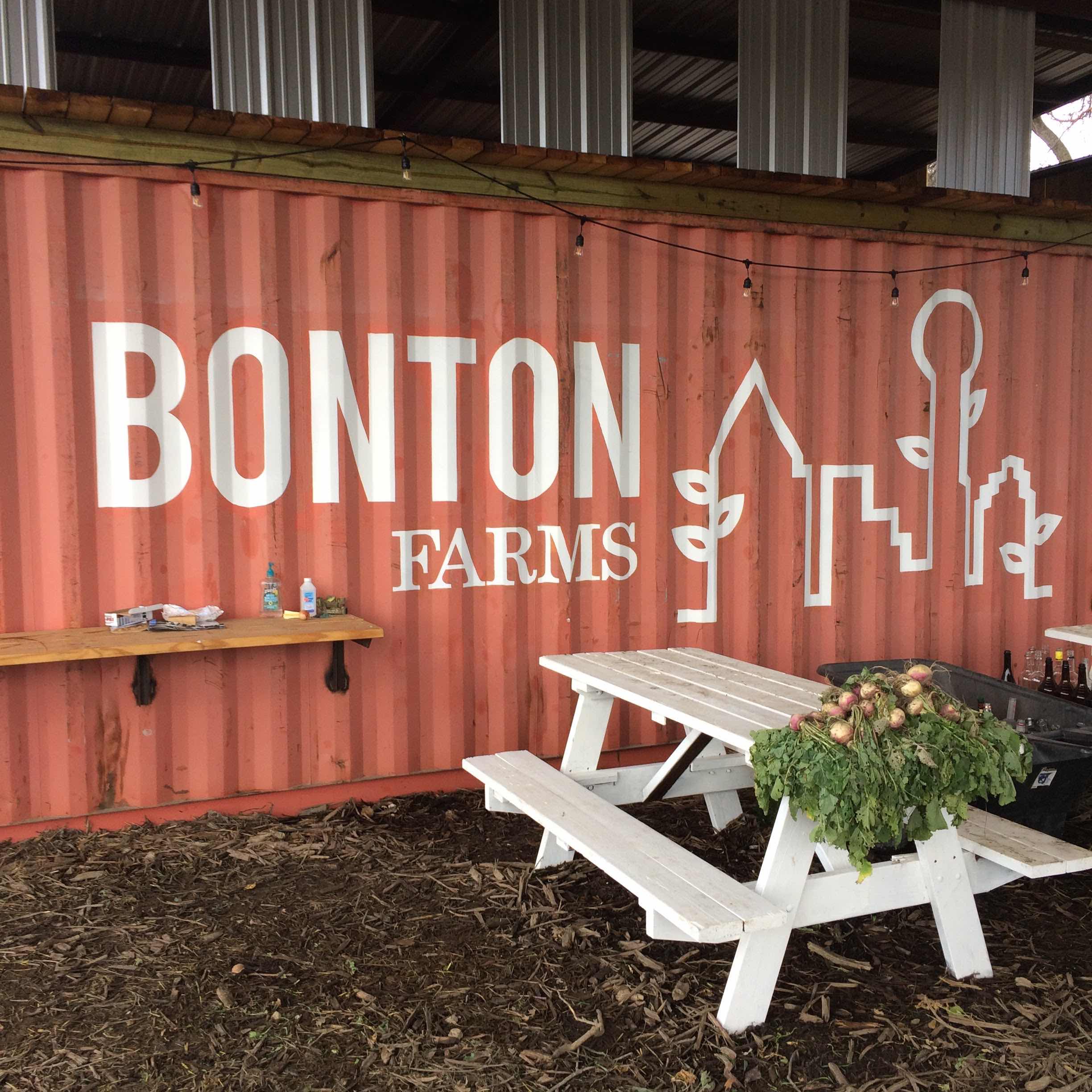 Bonton Farms: Transforming a Community from Within