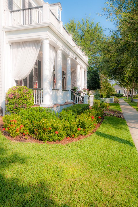 A shady Celebration sidewalk