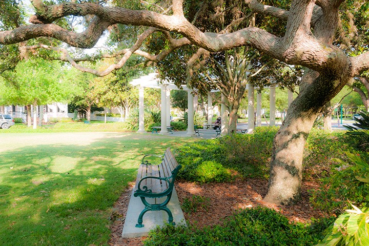 Every comfortable destination that becomes uncomfortable by cutting the trees down becomes one more reason not to get out and walk. Things like this park bench help build a stronger culture of walking in the community.
