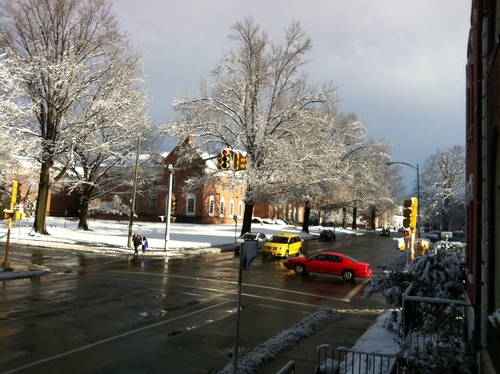 Steven's neighborhood in Springfield, MA. (Photo by Steven Shultis)