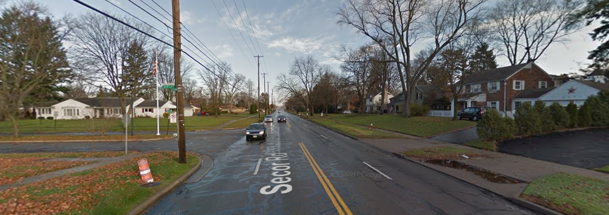 To stop a road widening project, be persistent