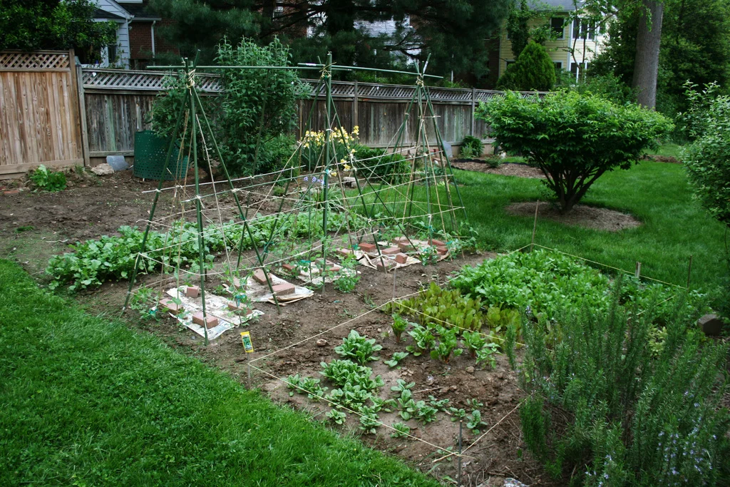 A backyard vegetable garden (Source: woodleywonderworks )