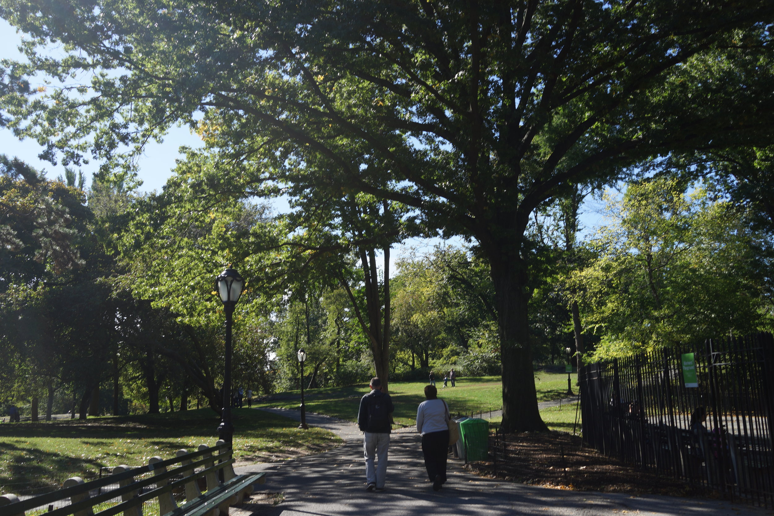 We can't all have an Olmsted park, but thoughtful landscape design goes a long way.