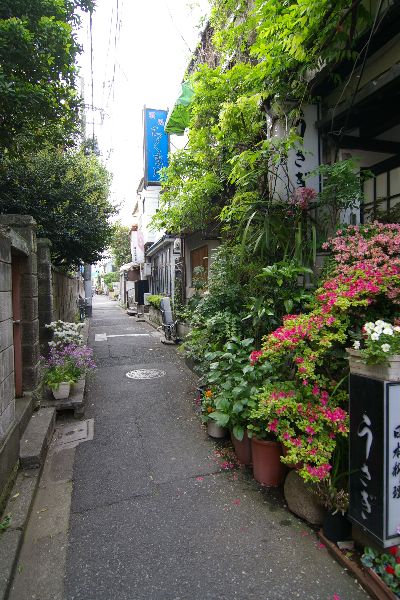  Nezu district, Tokyo, Japan  (Source)  