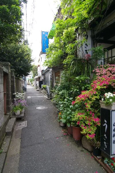 Nezu district, Tokyo, Japan (Source)
