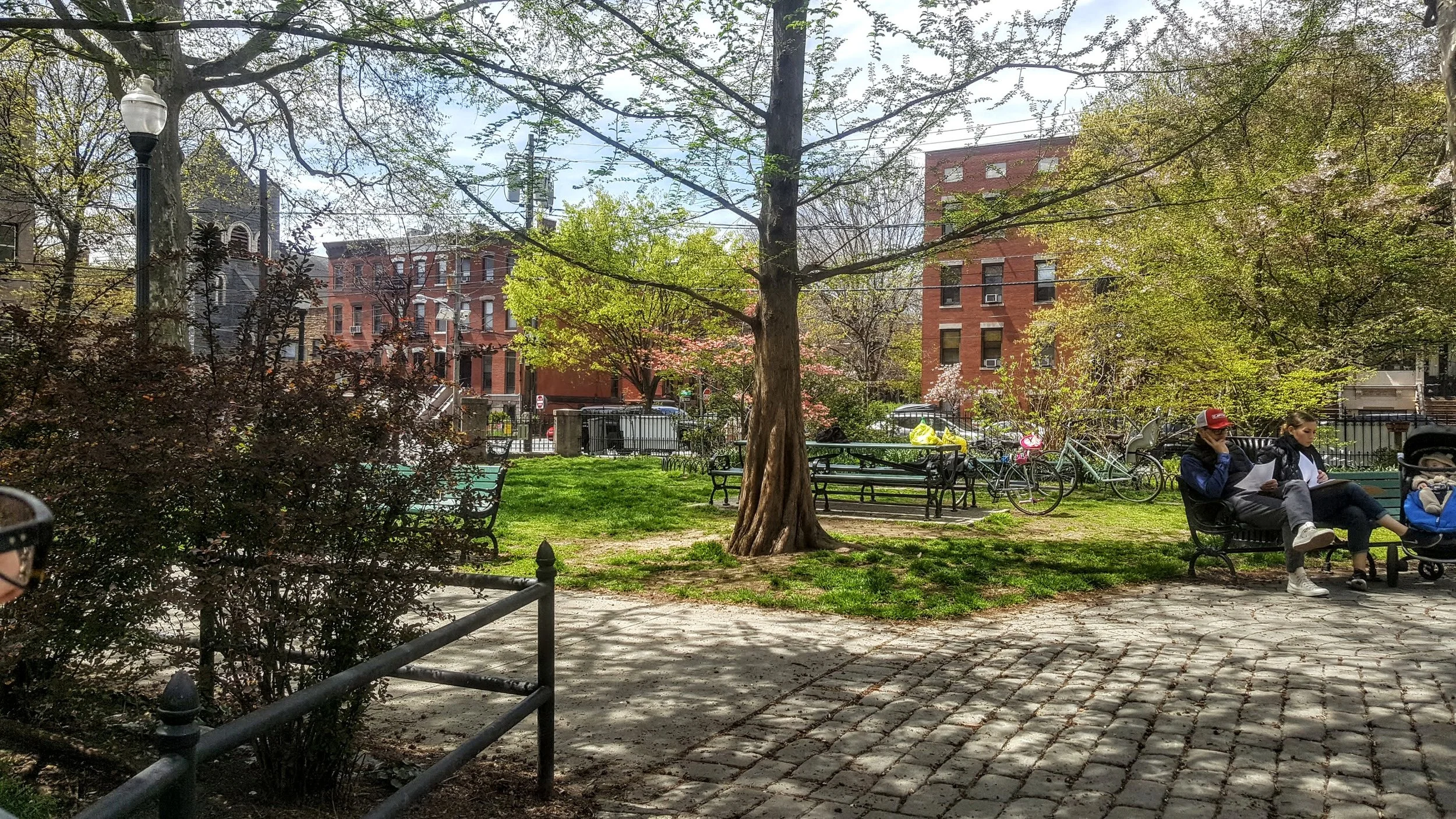 The lawned area with the picnic bench.