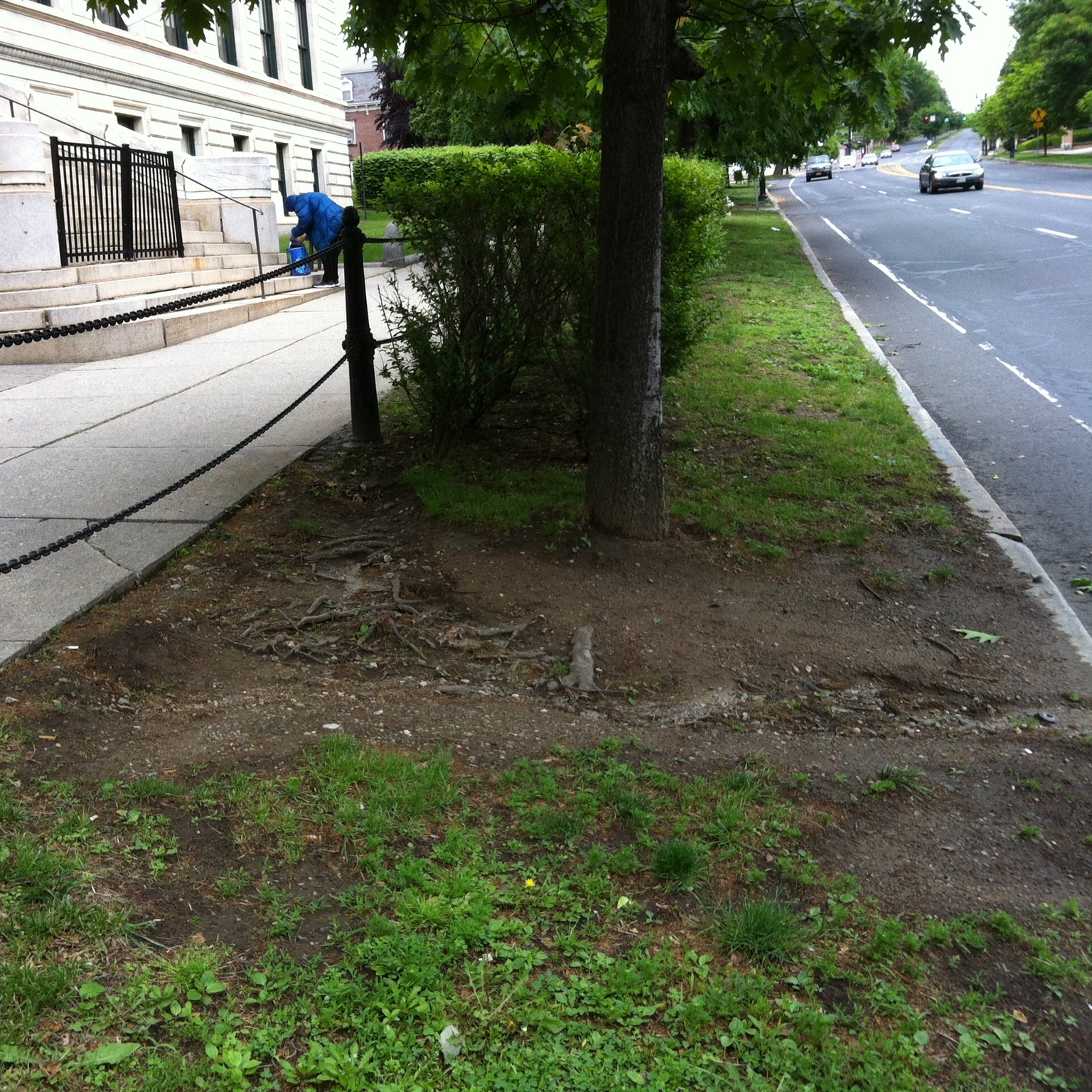 Desire Path, Present Day