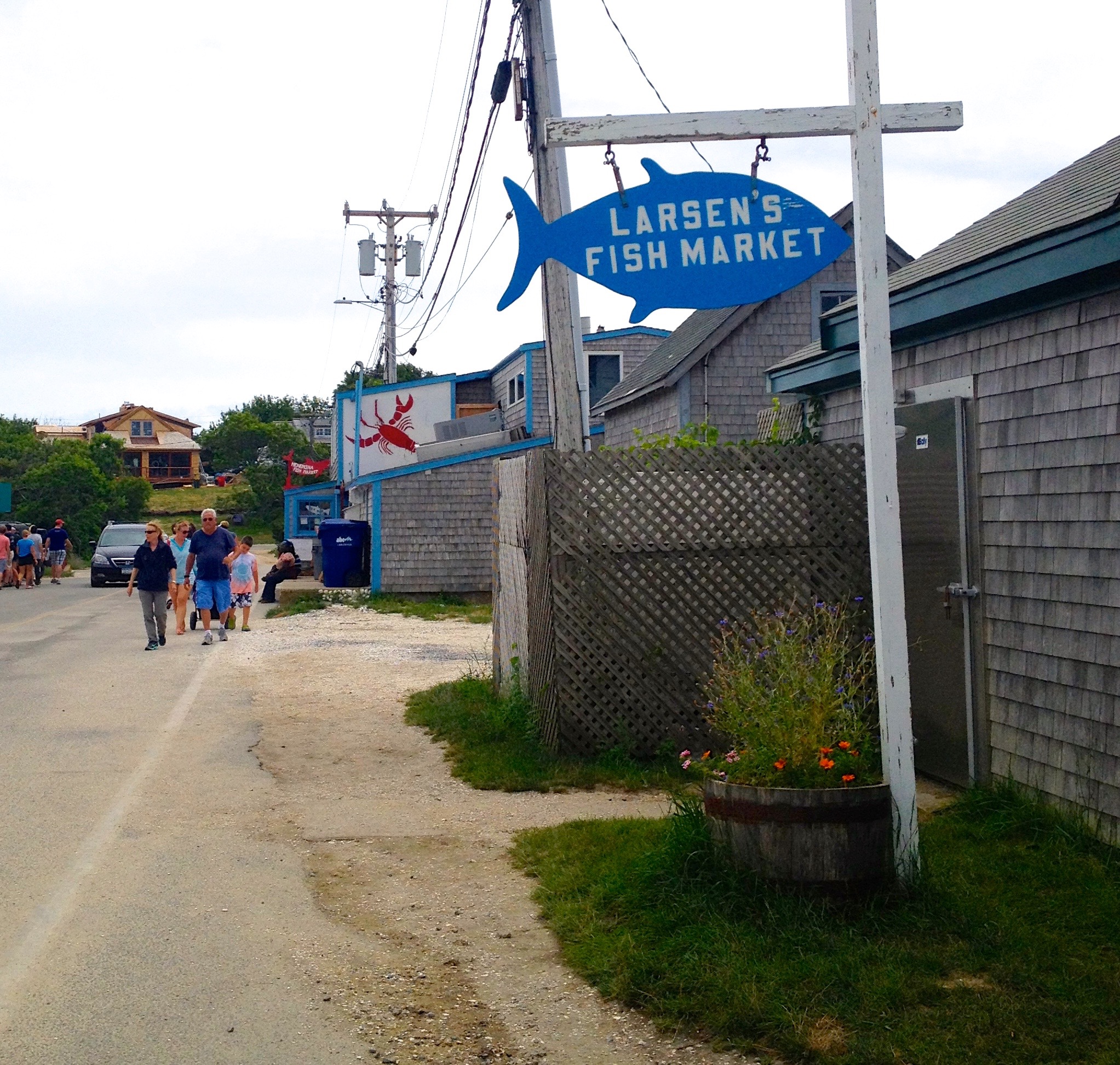 Menemsha, MV (Photo by Rachel Quednau)