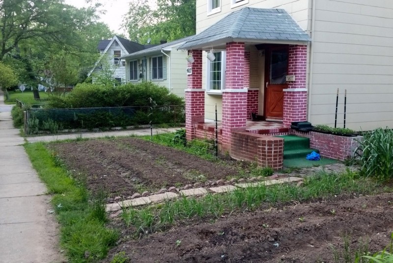 A front yard farm in Mount Ranier, MD. This would be illegal in many communities. (Image by the author.)
