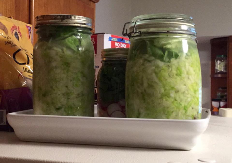 Sauerkraut in the making at the Erfurt house.