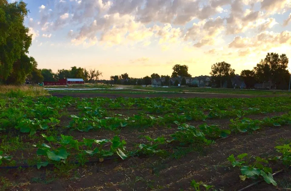 Modern Small-Scale Farming - Could it Sustain us? Could we Sustain it?