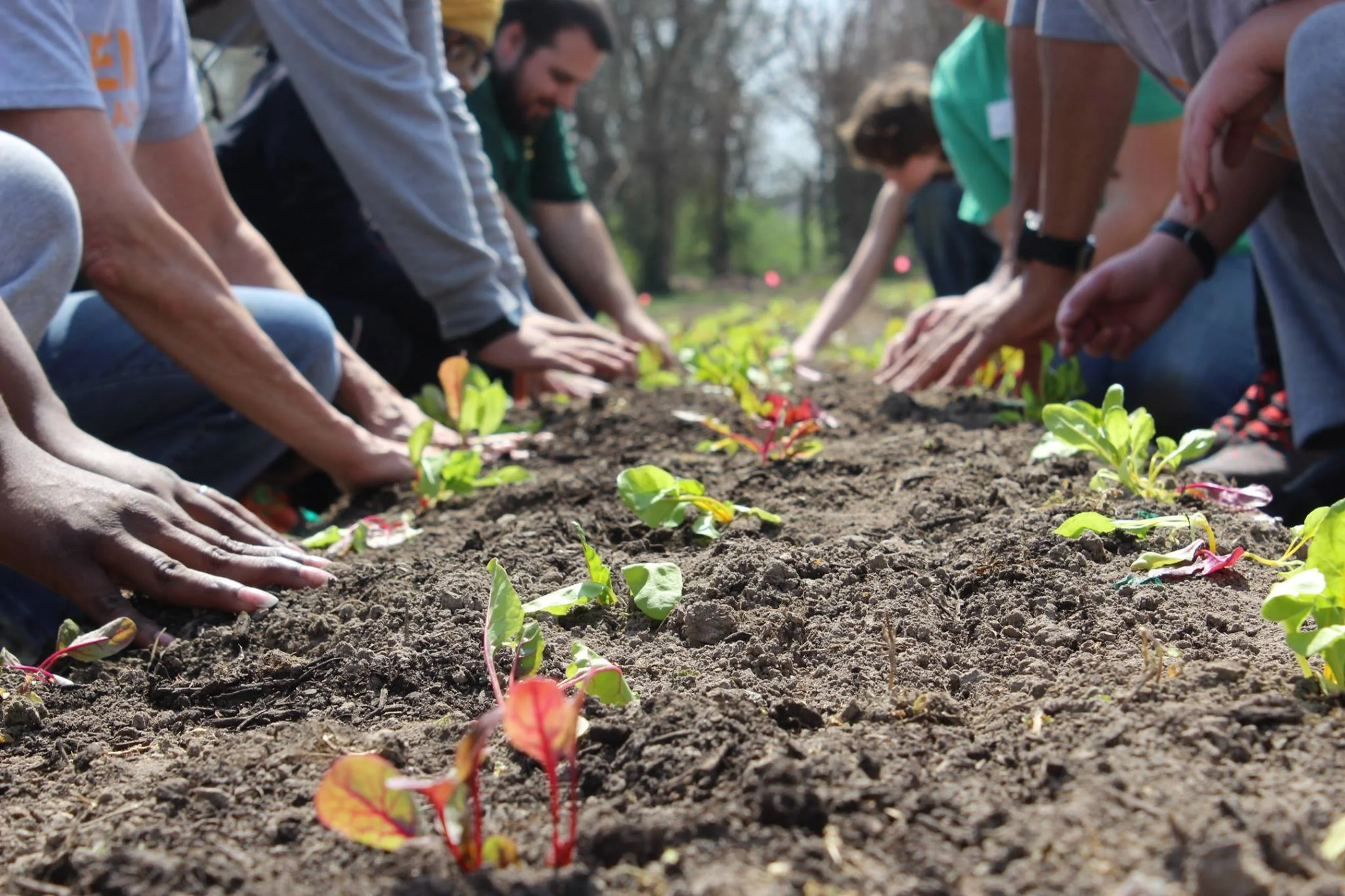Attend our upcoming webcast on local food and farming