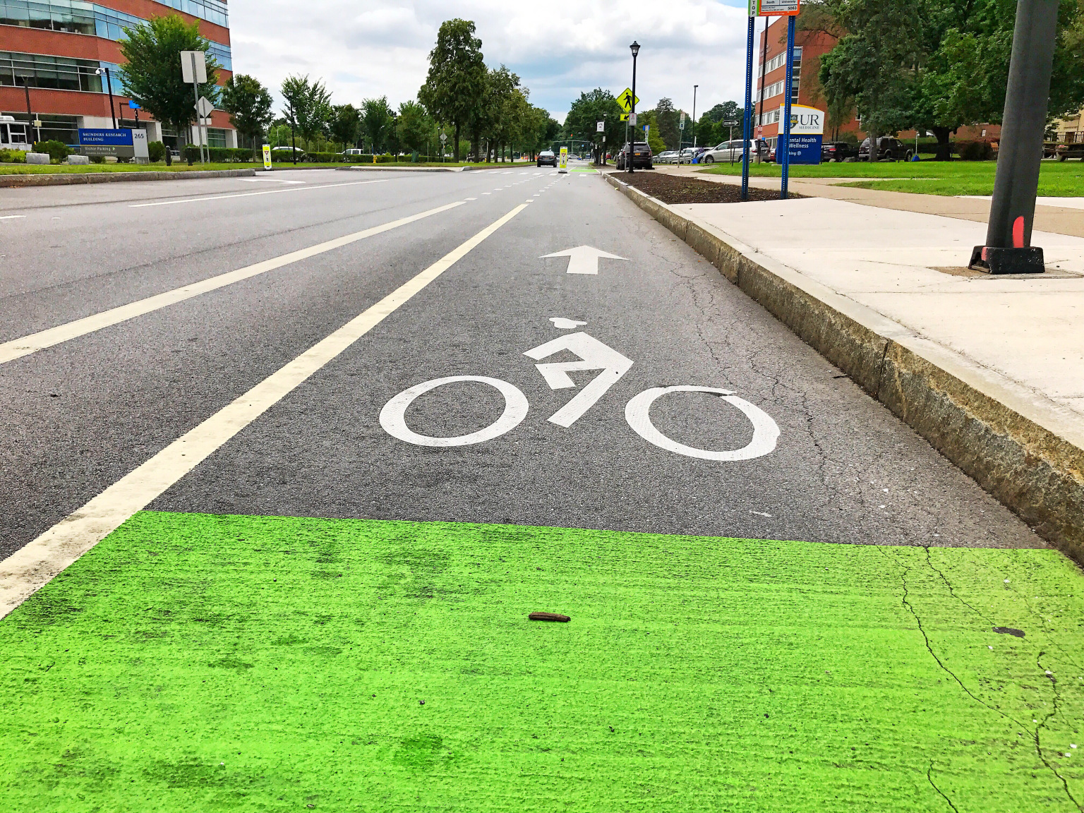 Bike Lane along Crittenden Blvd.