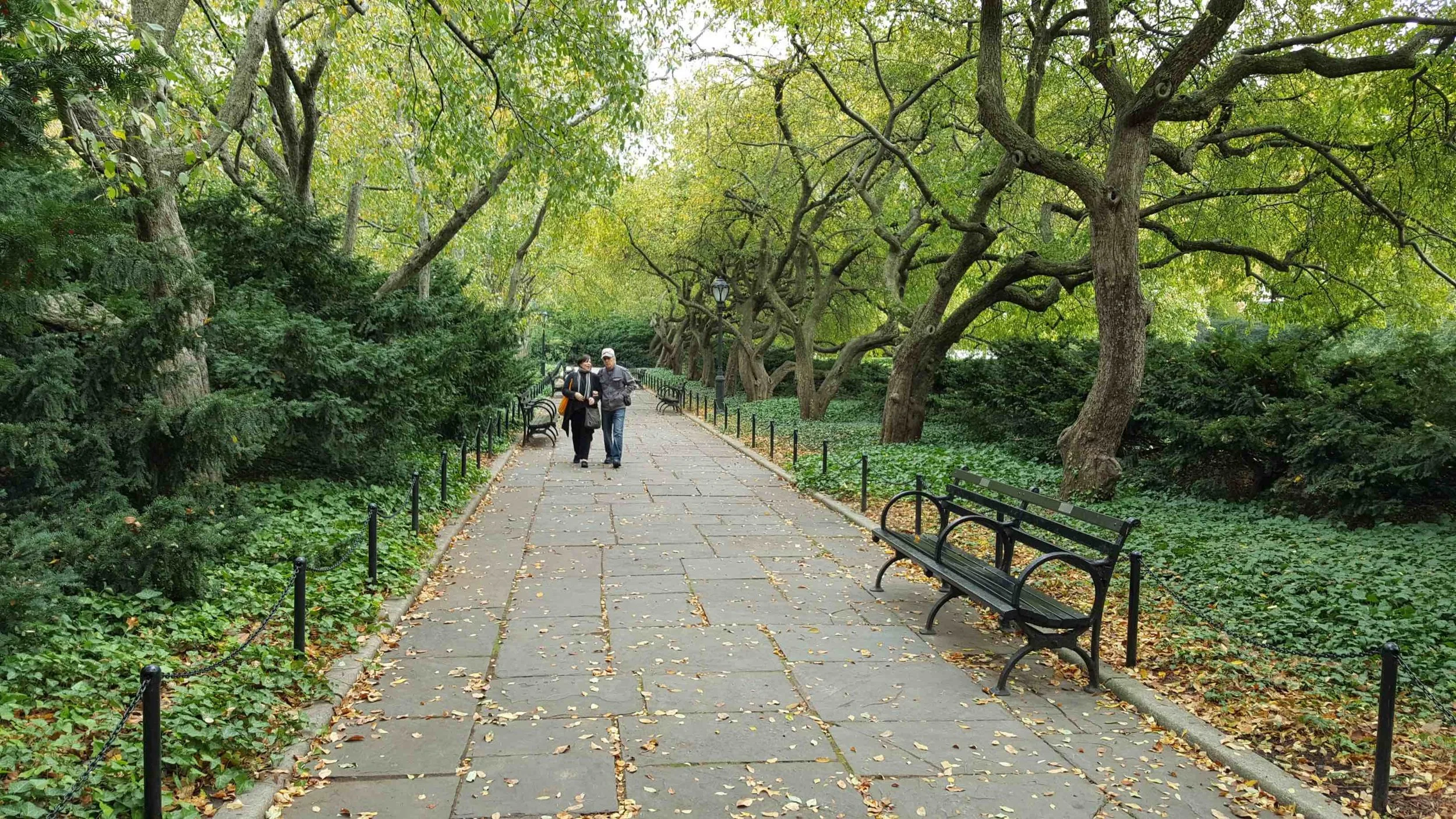 Top Stories This Week (Sep. 4-8, 2017)