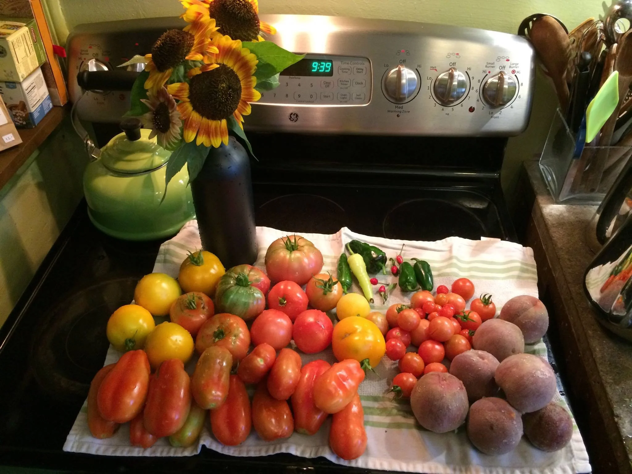 The Elements of a Resilient Life