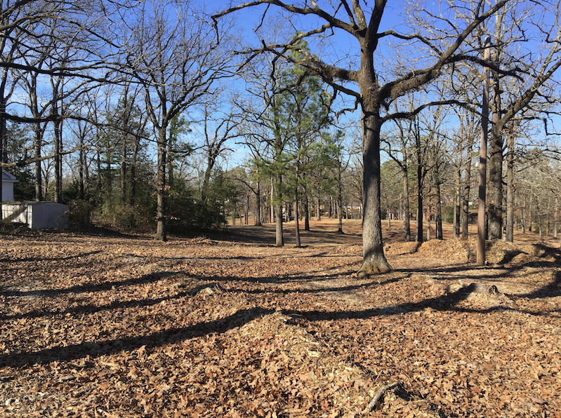 Highland Park (Photo courtesy of Re-Form Shreveport)
