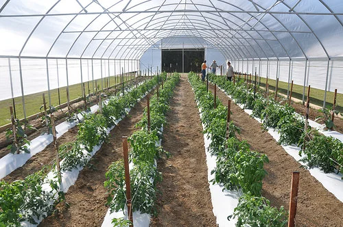 Farming by the Mississippi Band of Choctaw Indians (Source: USDA)