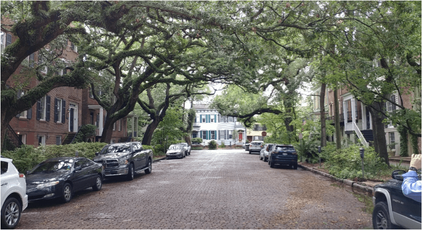  A view of the complete effect provided by the trees, micro-gardens, and urban homes. 