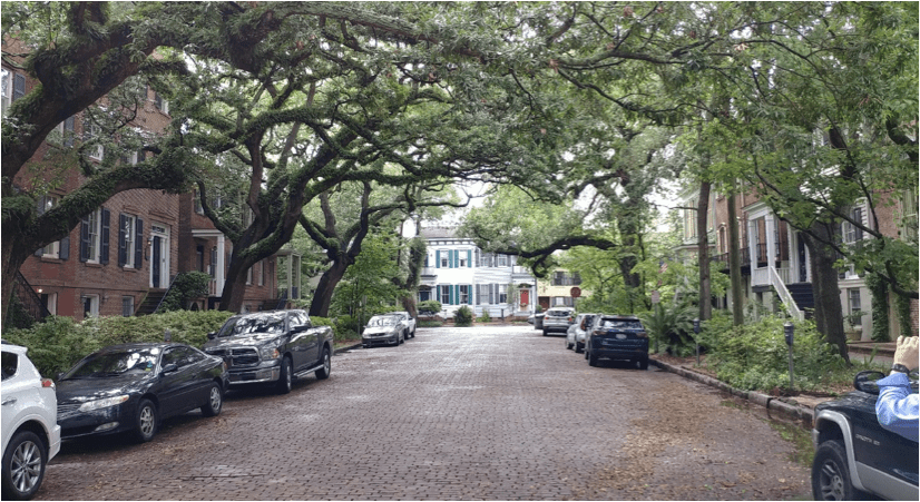 A view of the complete effect provided by the trees, micro-gardens, and urban homes.