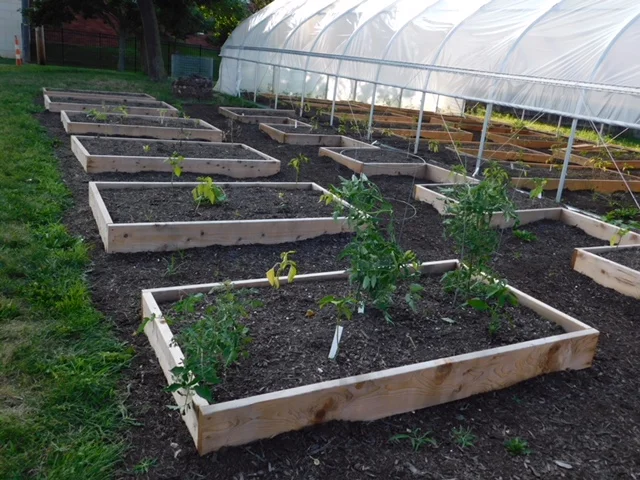 Harvesting Hope In Akron