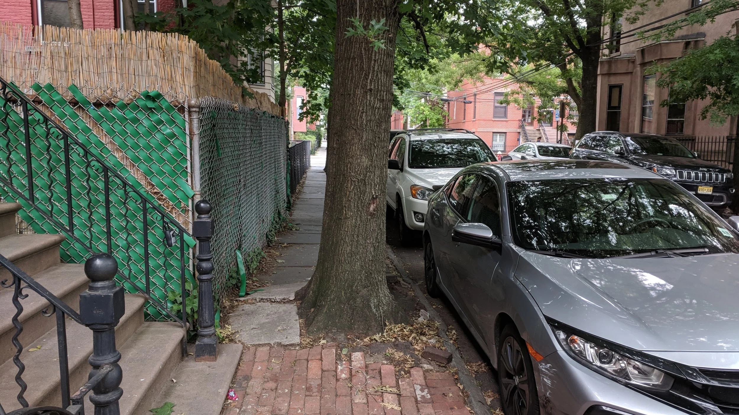 Little things can really affect your experience, such as a tree blocking the sidewalk.