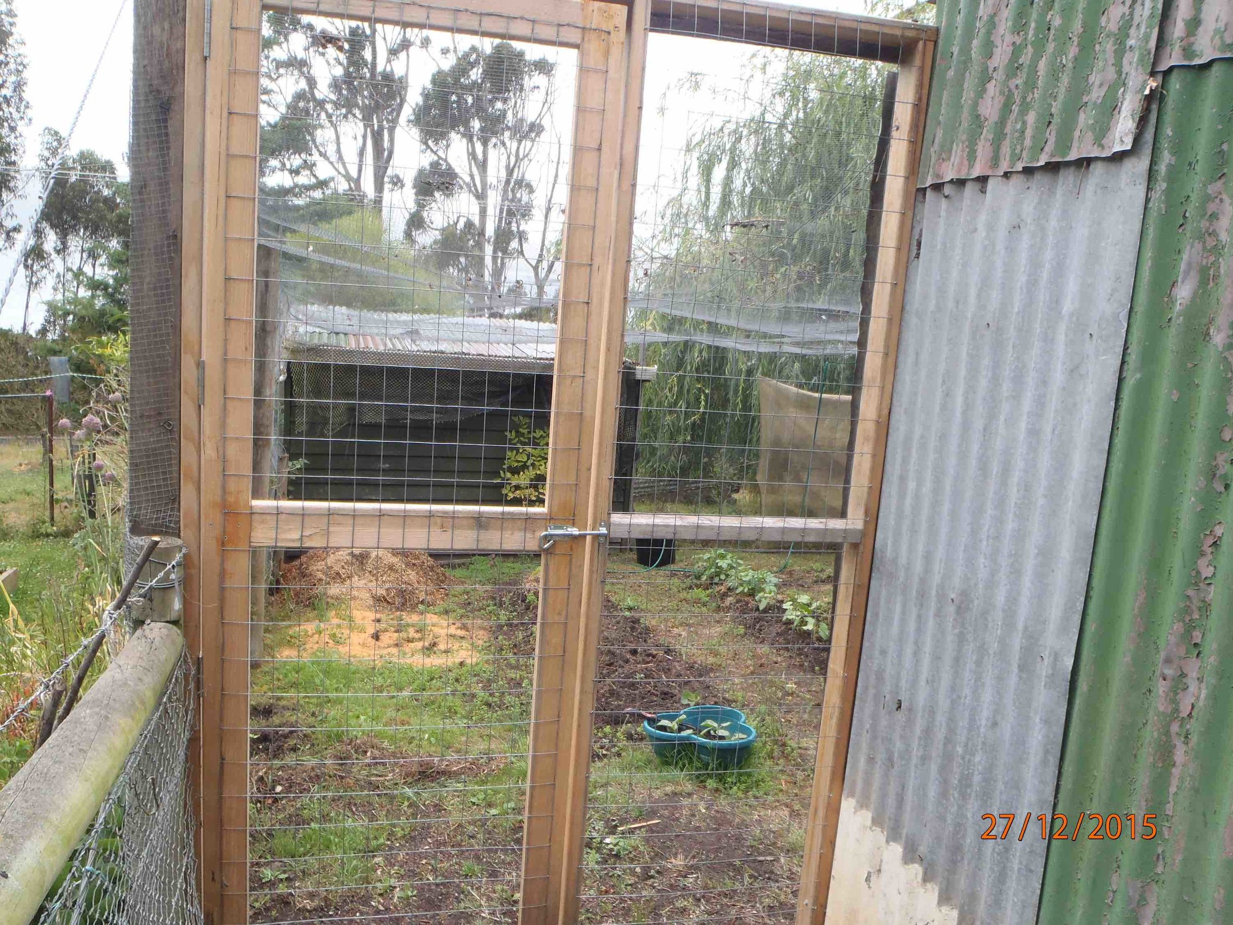 High security hen yard, enclosed on all sides and top