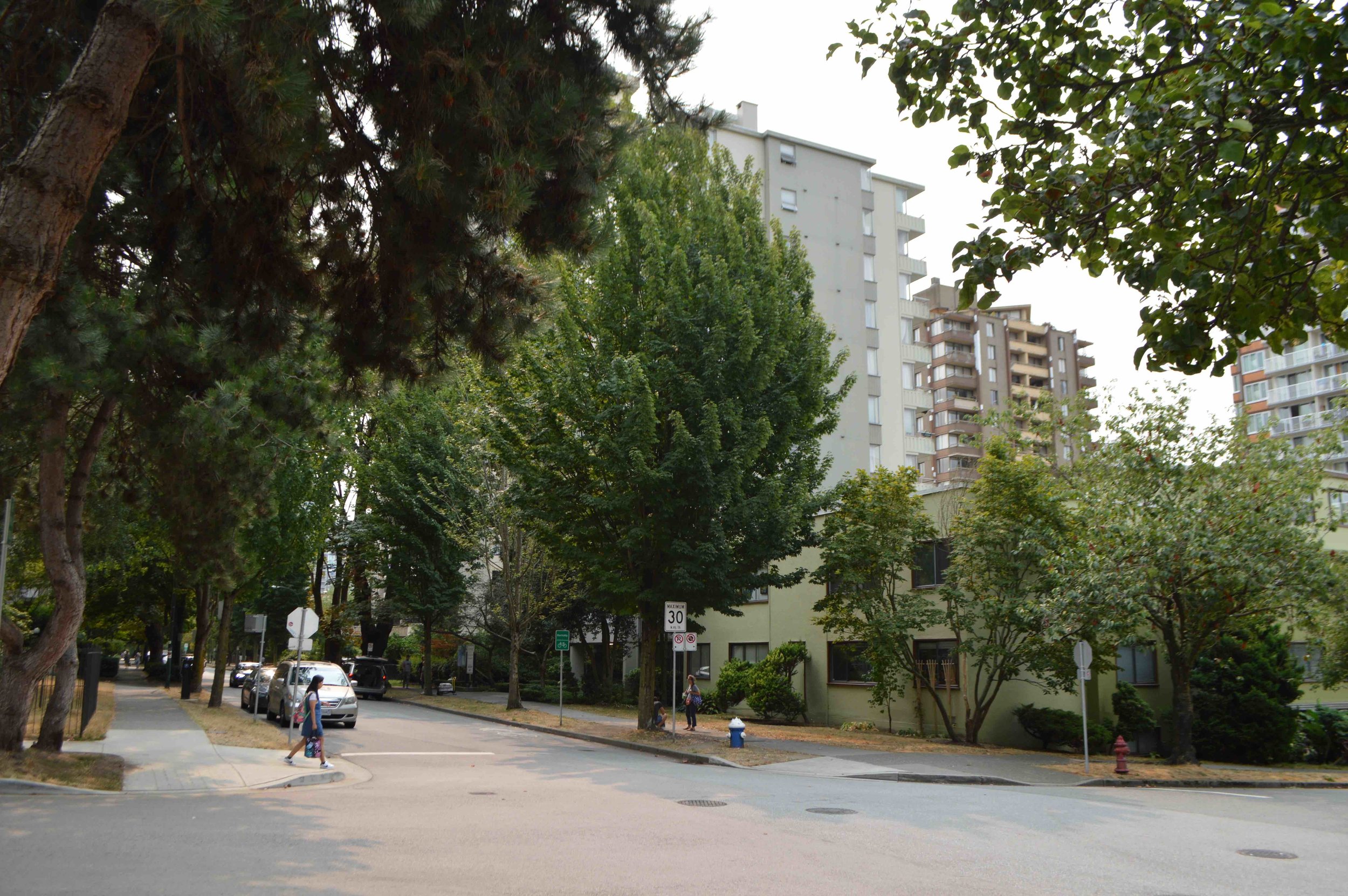 streetscape3.jpeg