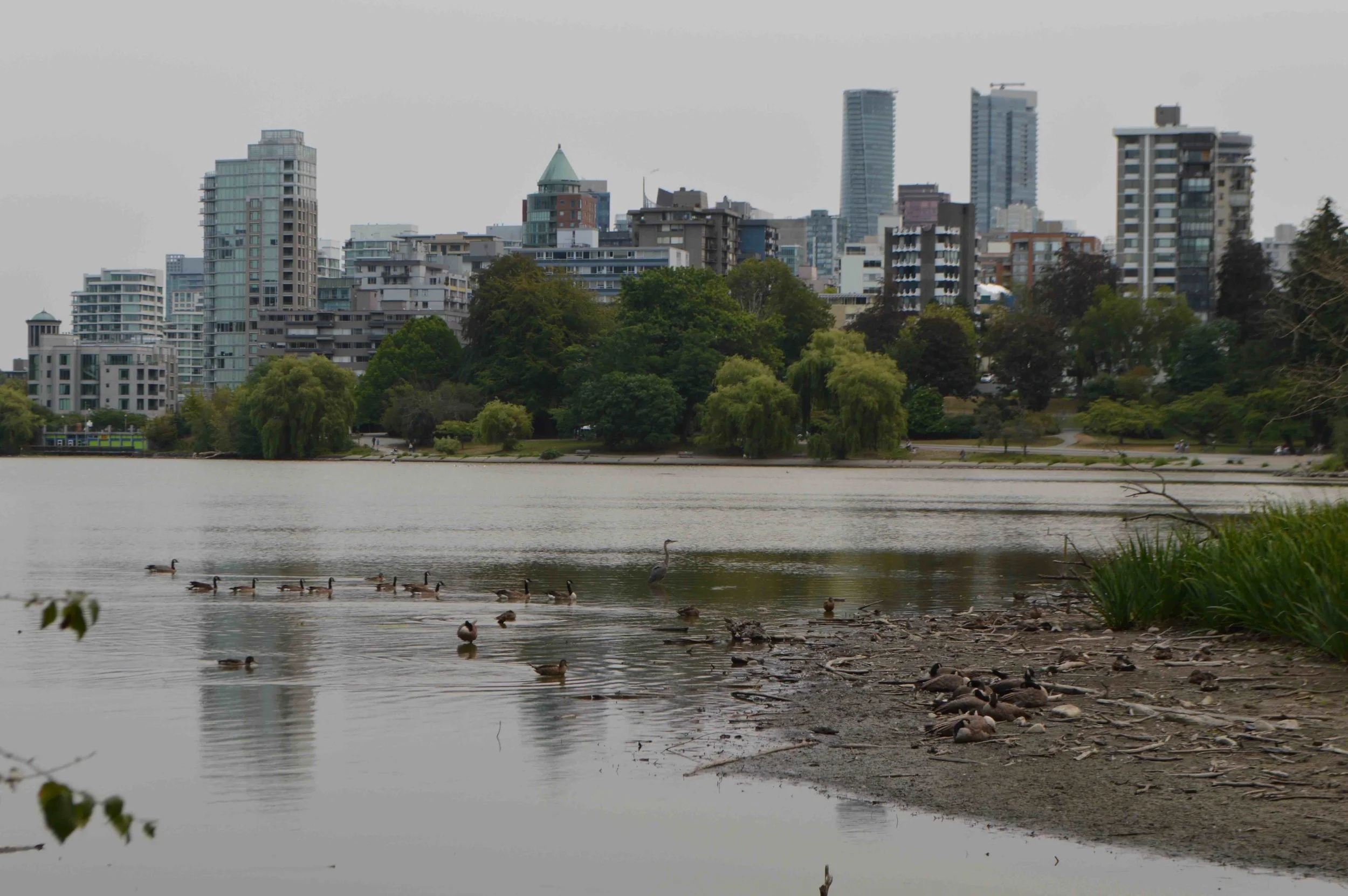 Vancouver's West End Challenges Assumptions About Compatibility