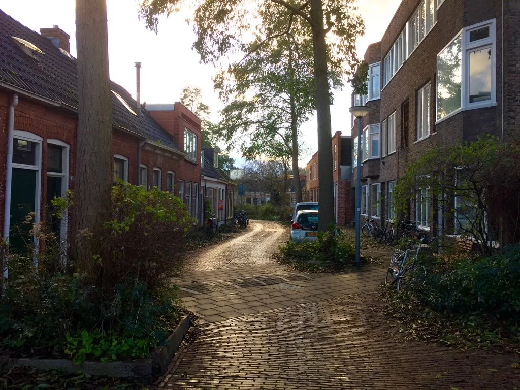Tell Us About Your Favorite Street