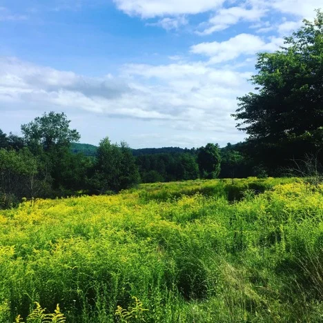 What Does Economic Development Mean in Small Town Western Massachusetts?