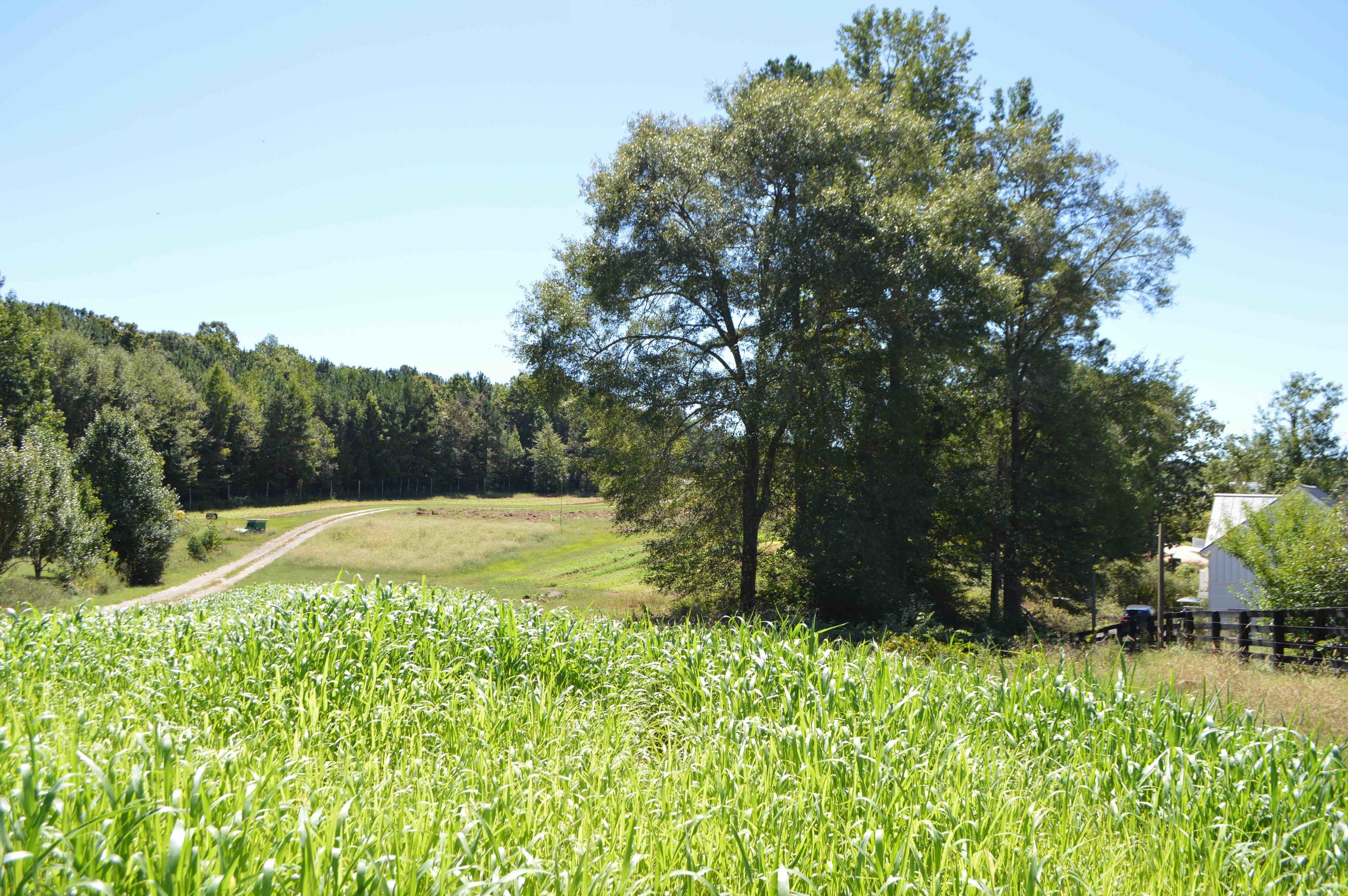 Serenbe Farms