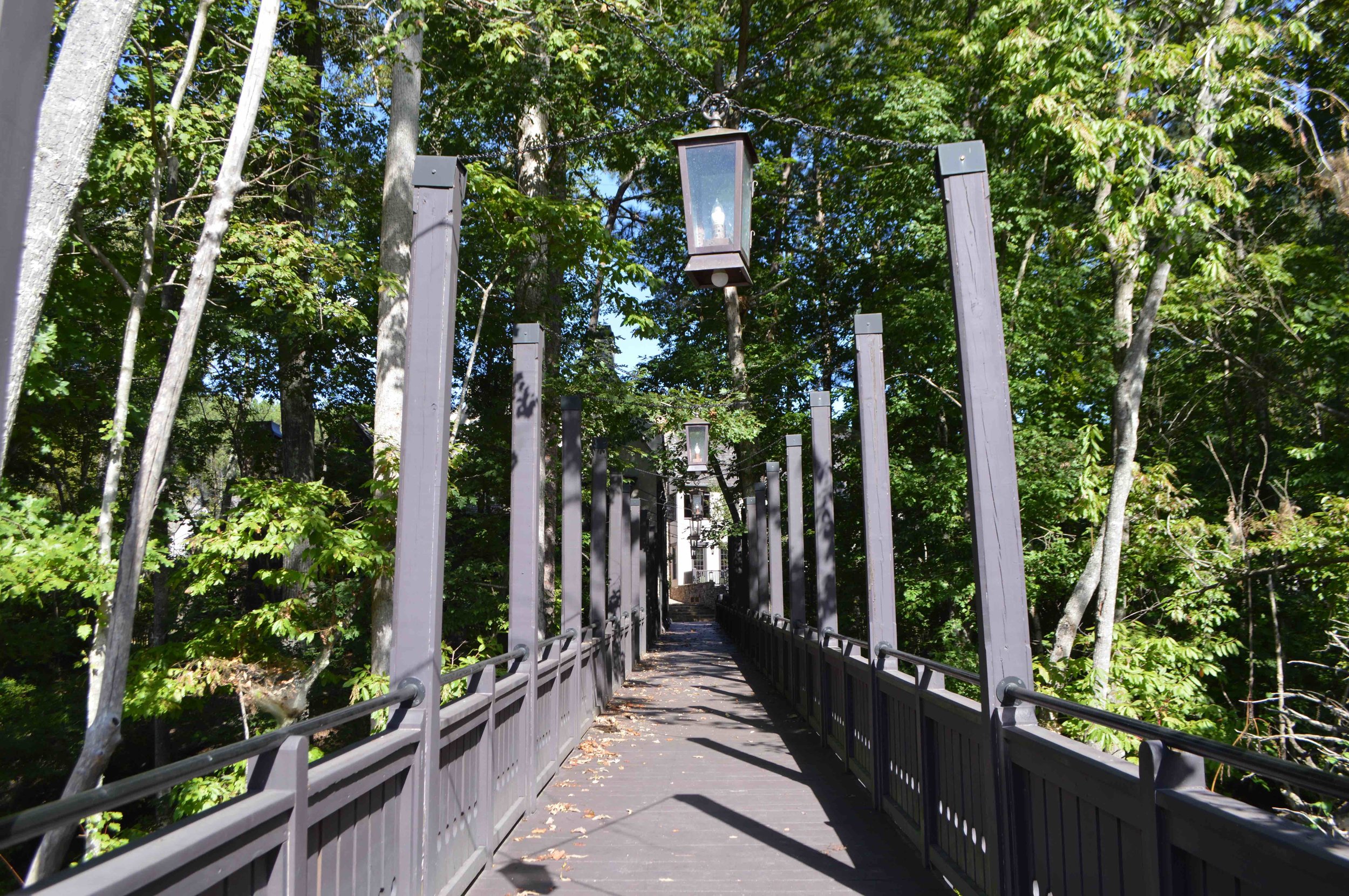 pedpath3.jpg