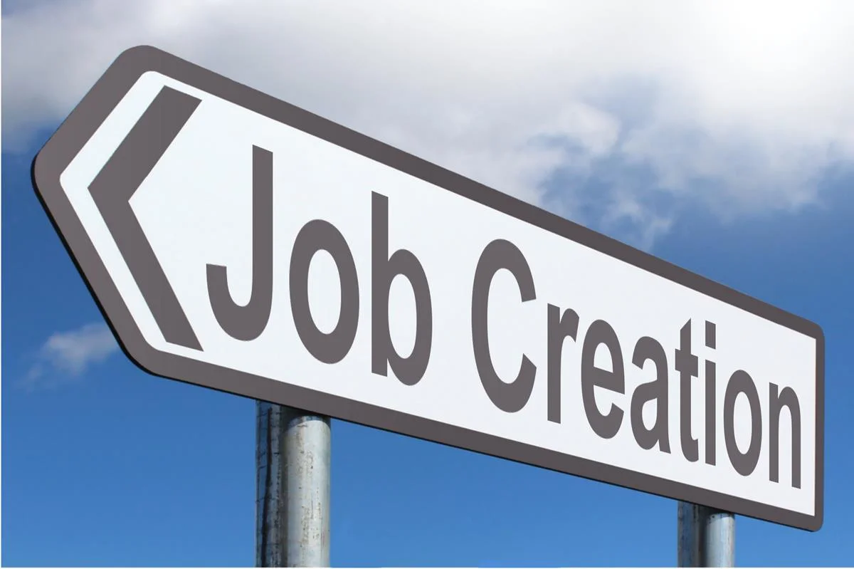 The Limits of Job Creation