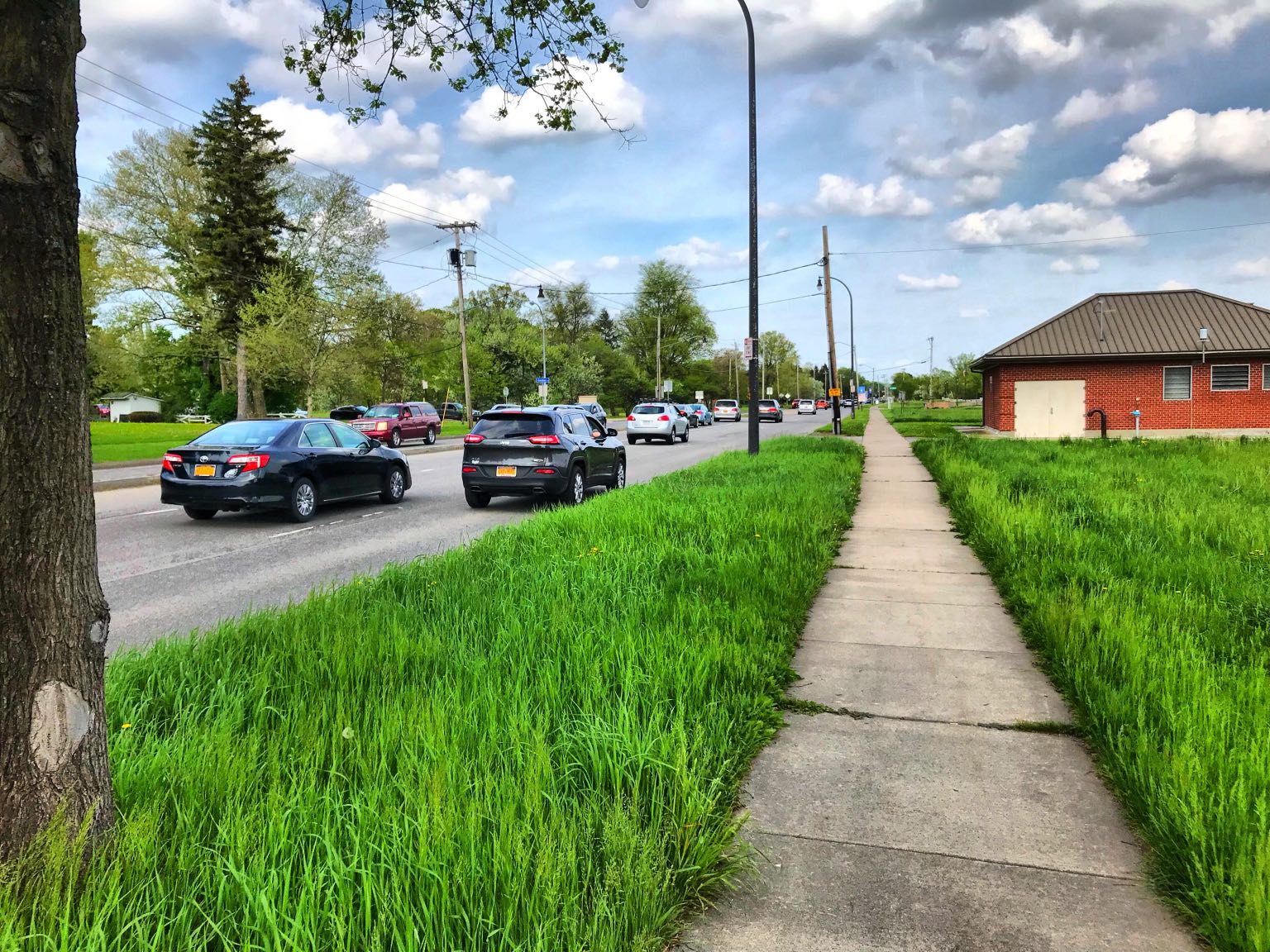 Speeding rush hour traffic is a regular occurrence on Elmwood.
