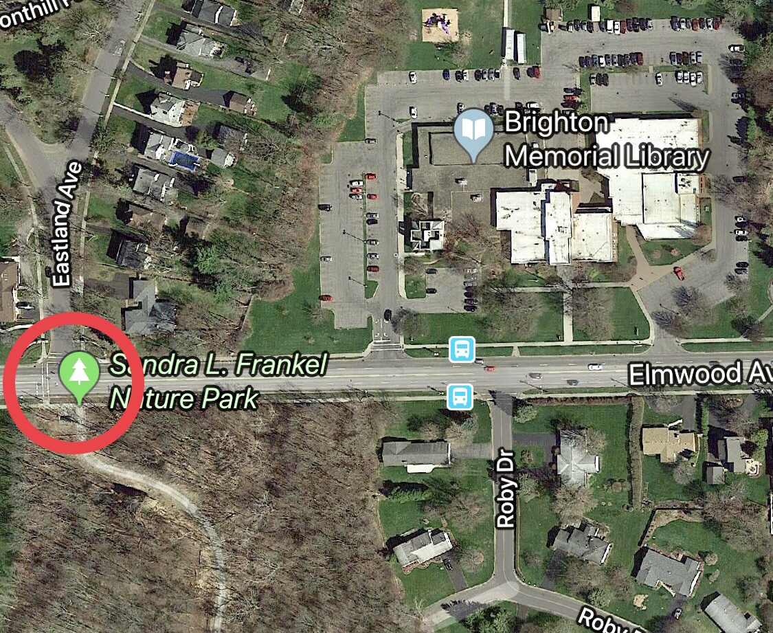 Want to get to the library from the south side of Elmwood Avenue? The nearest crosswalk is circled in red.