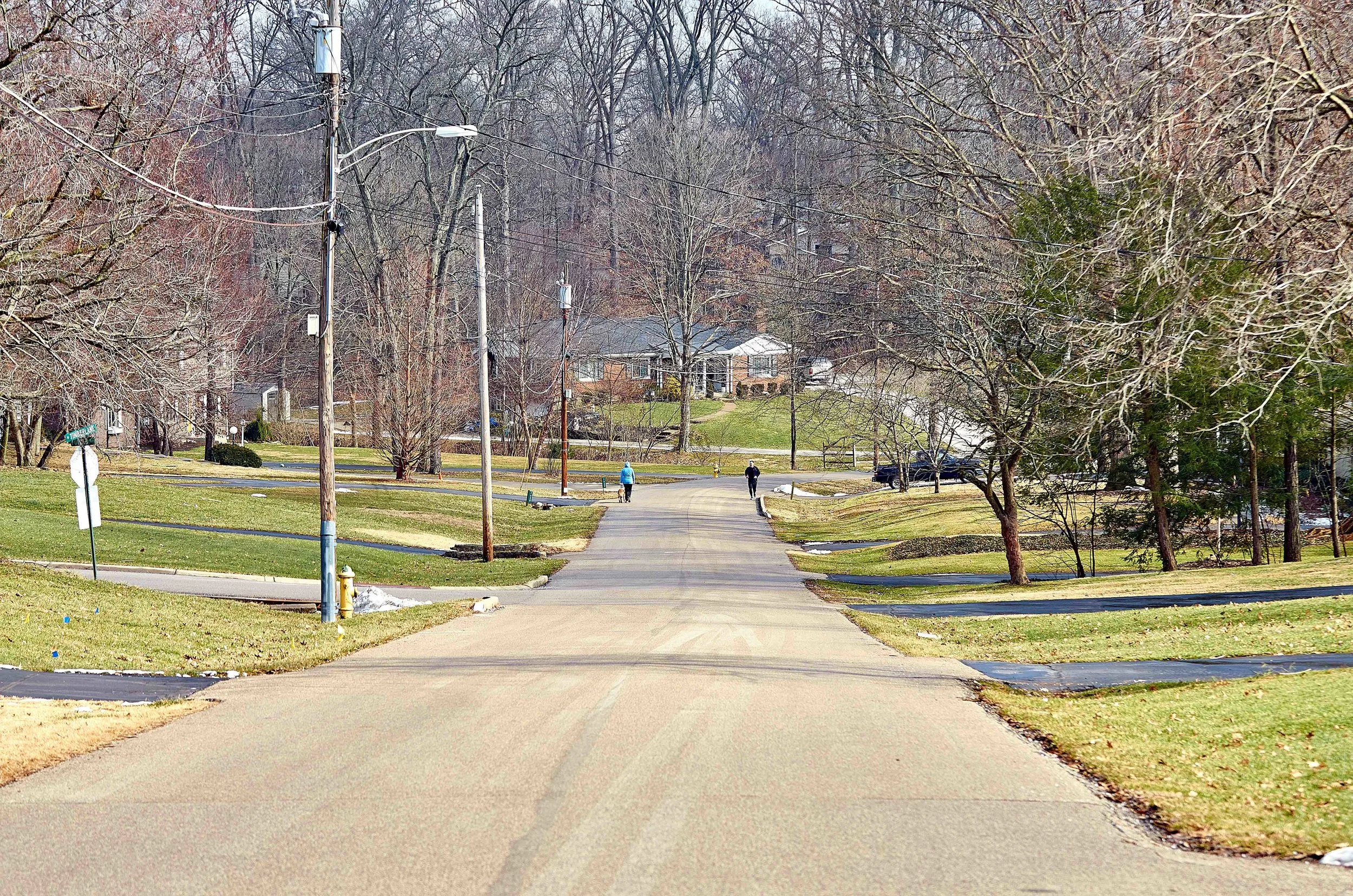 Top 5 Stories from the Week (Feb 4–8, 2019)