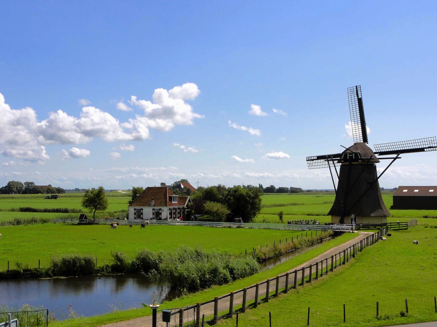 Rural Netherlands. Image: pxhere. Creative Commons license.